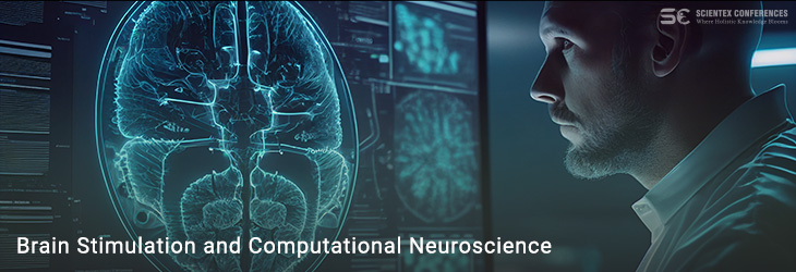 Brain Stimulation and Computational Neuroscience