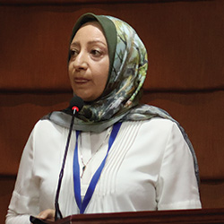 Rania Mamdouh Mohamed,Cairo University, Egypt